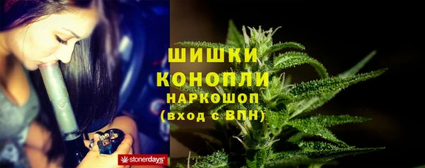 PSILOCYBIN Абинск