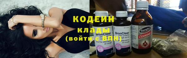 крисы Абаза