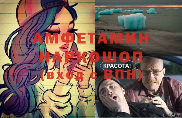 крисы Абаза