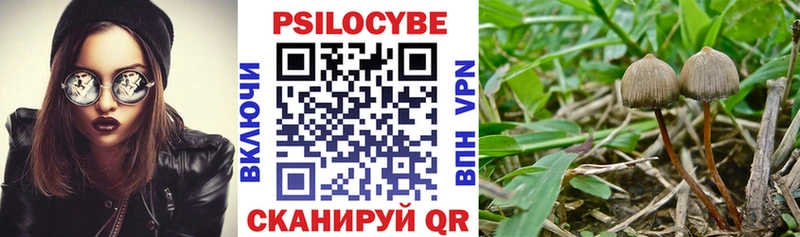 Галлюциногенные грибы ЛСД  Зубцов 